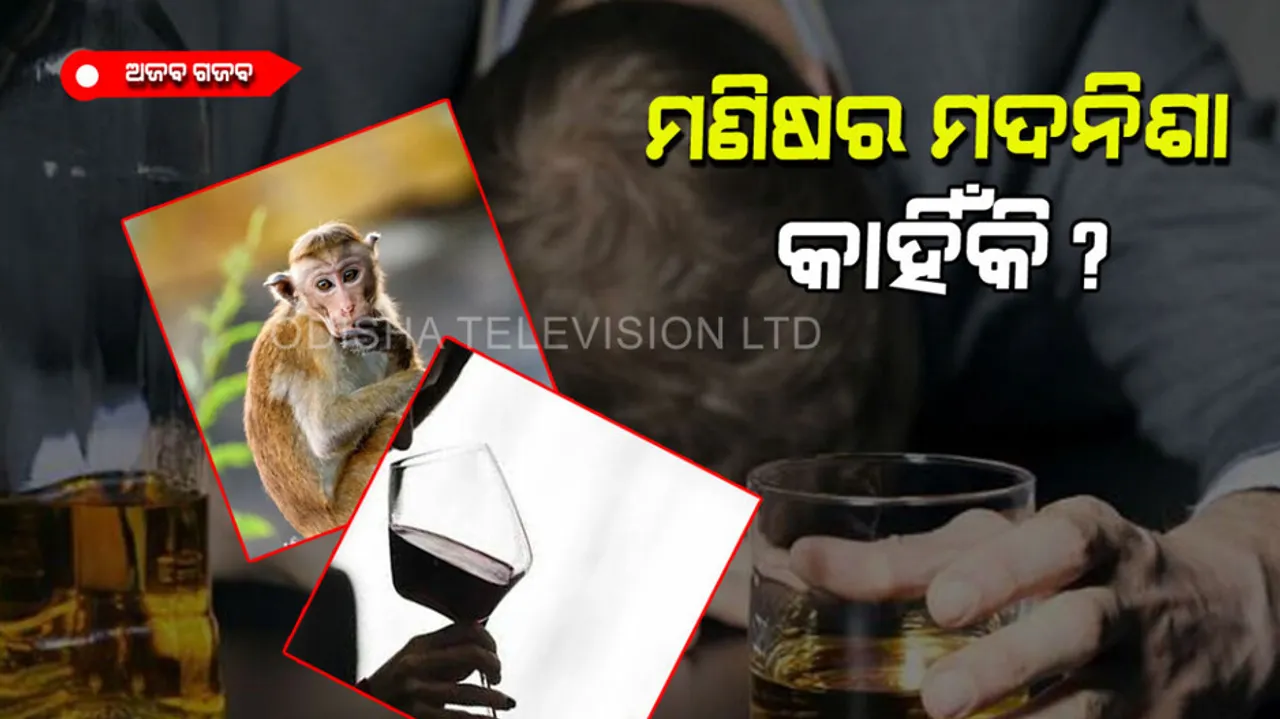 Alcohol addiction know scientist shocking reasons 