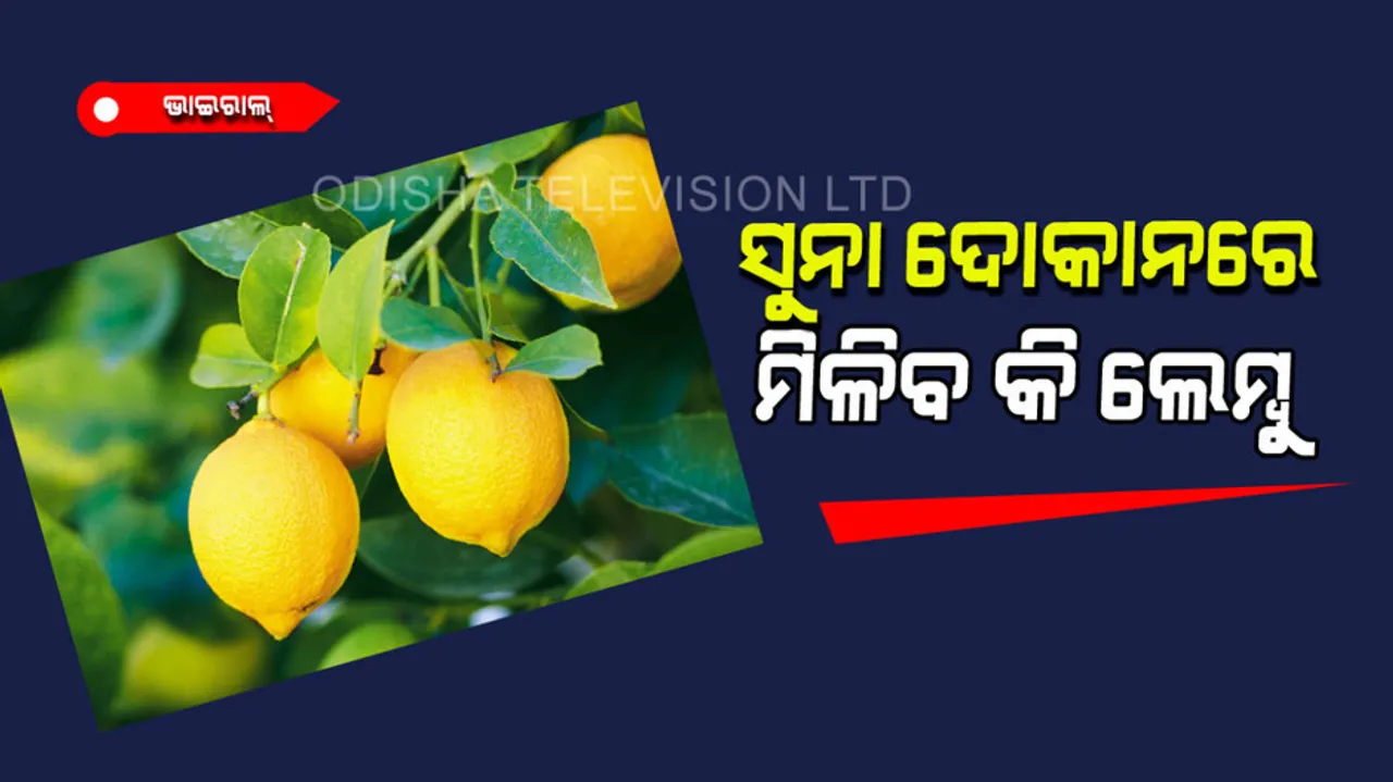 Lemon price hike social media flooded memes