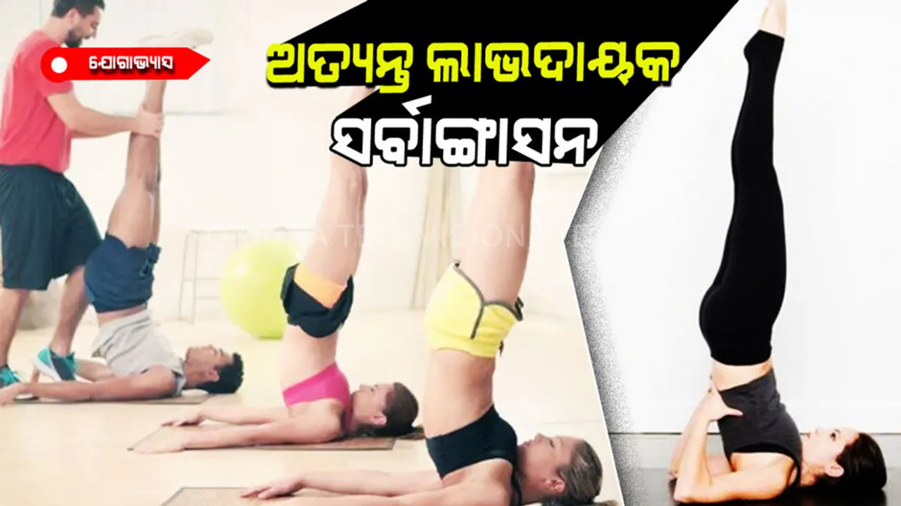 Benefits of Sarvangasana