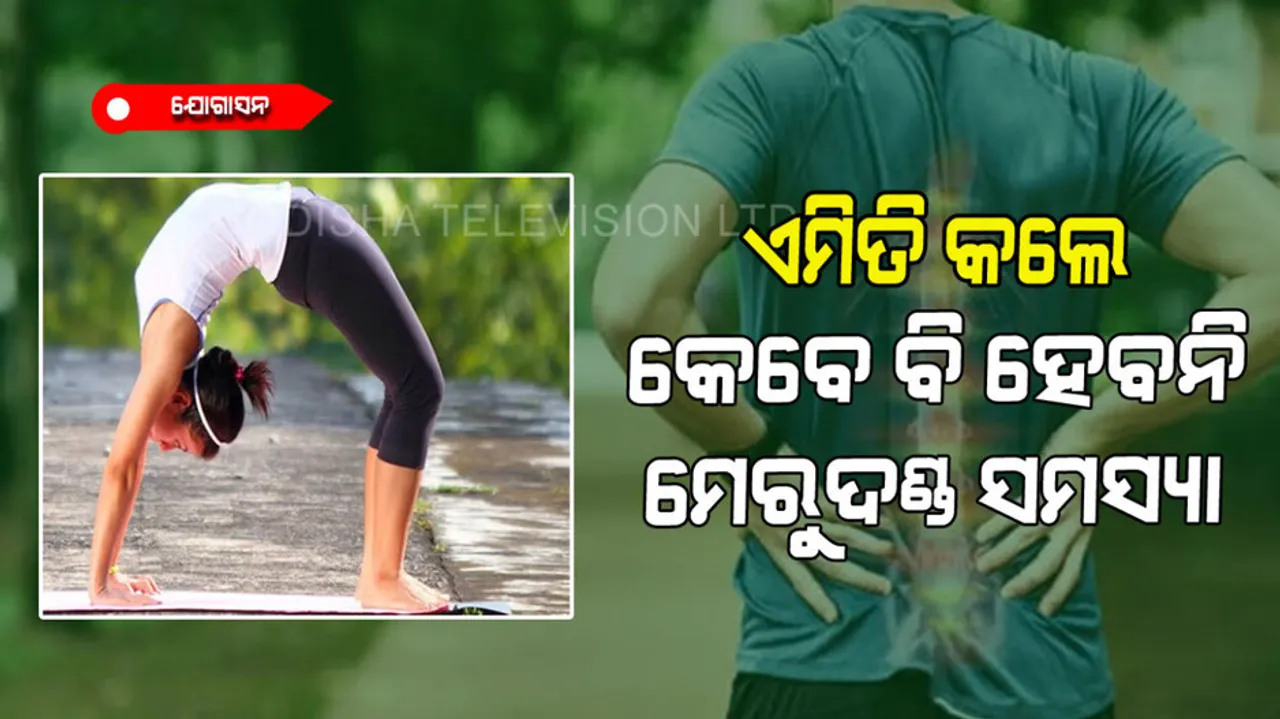 Chakrasana best yoga for back pain and stress relief