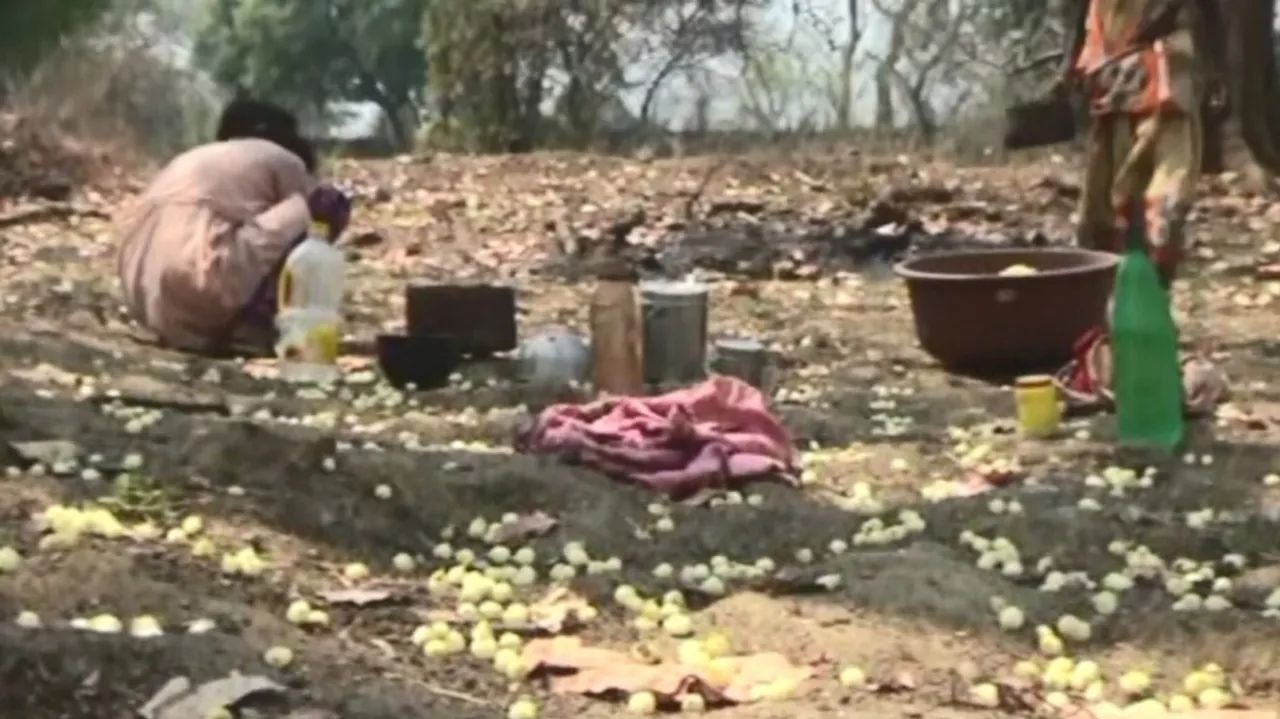 mahua flower collectors