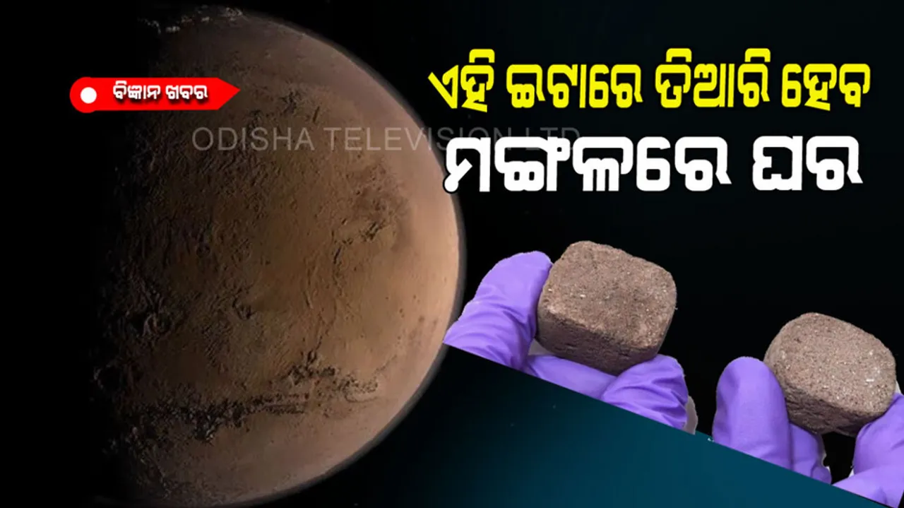 Mars space bricks made to build house