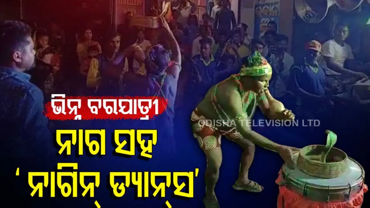 Real 'Nagin Dance'- Snake Charmer Dances With Cobra During Wedding Procession In Odisha