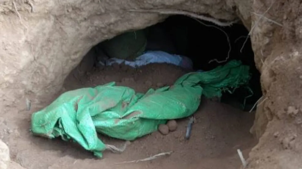 BSF detects suspected tunnel
