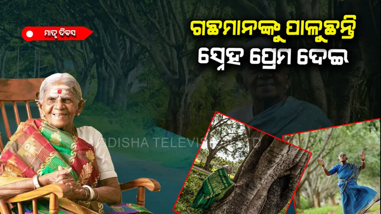 Saalumarada Thimmakka biography known as mother of tree