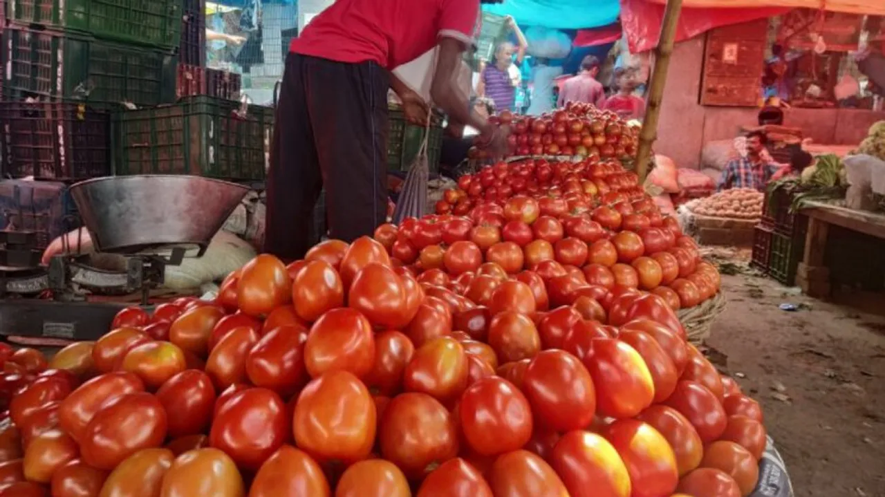 Prices of tomatoes down 
