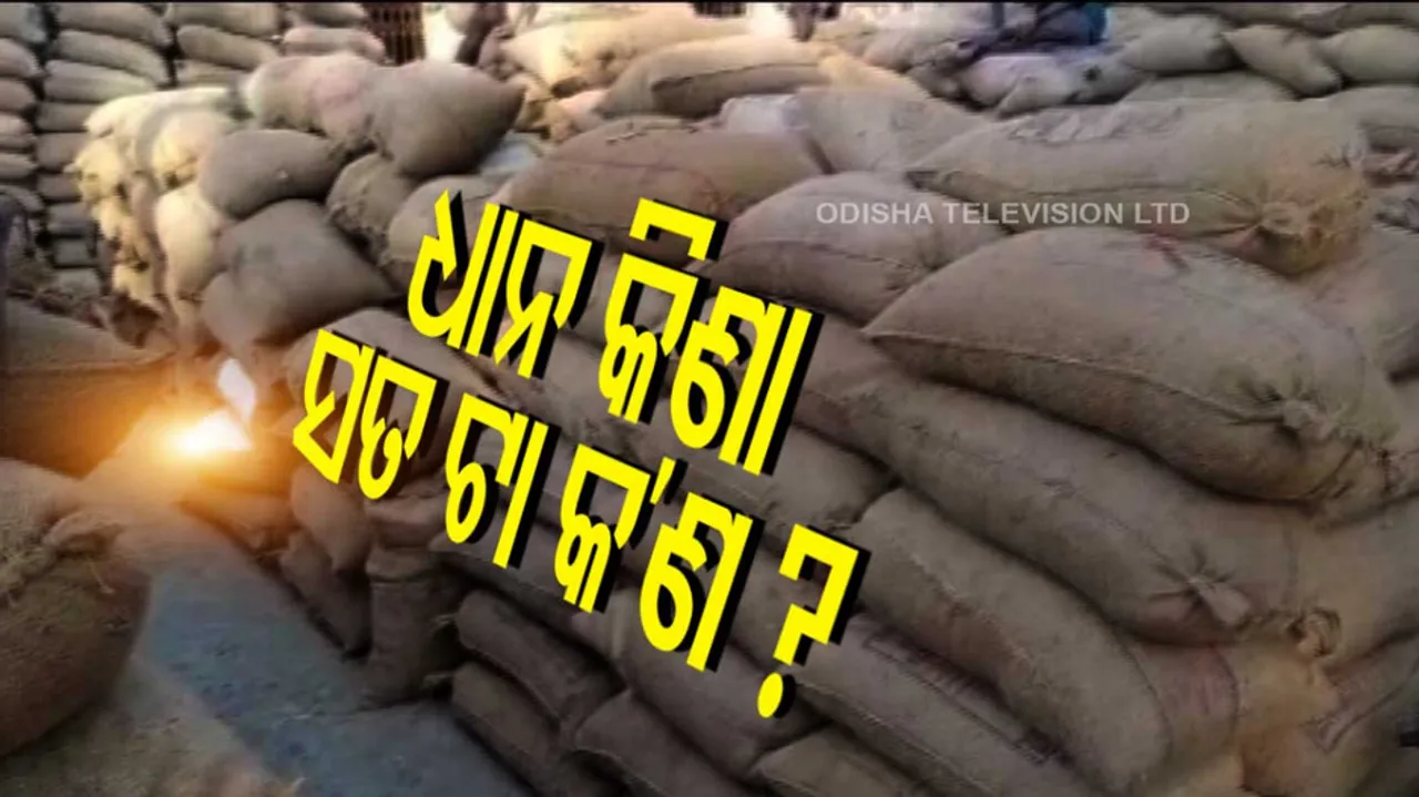 Irregularities in paddy procurement in Bhadrak, farmers suffer
