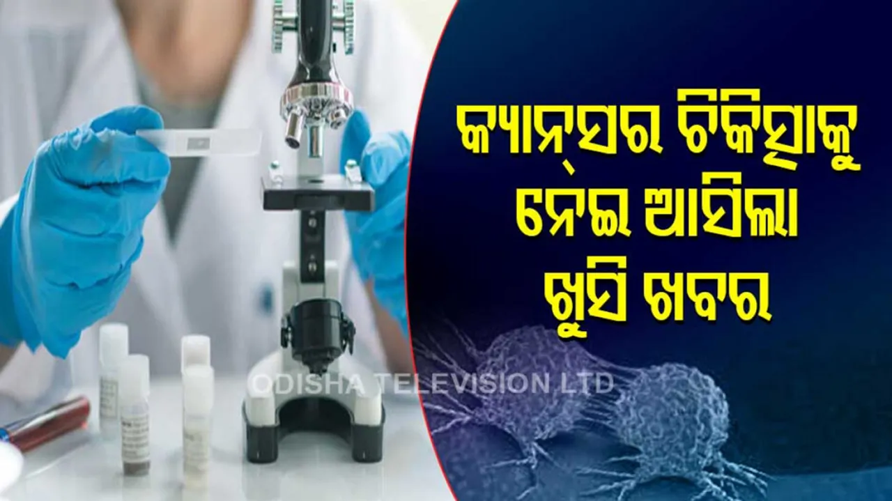 Cancer Vanishes For Every Patient In Drug Trial