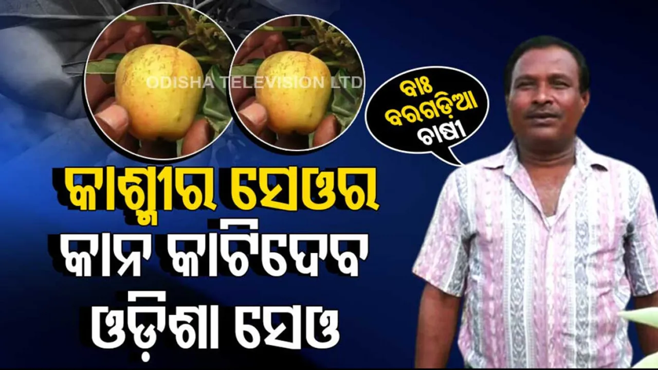 Odisha Man Grows Apple