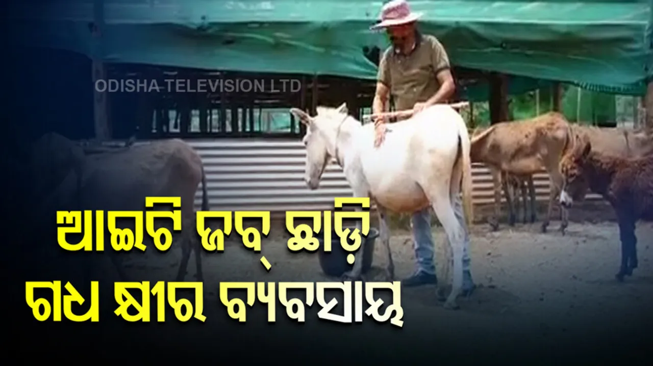 Donkey MIlk Buisness