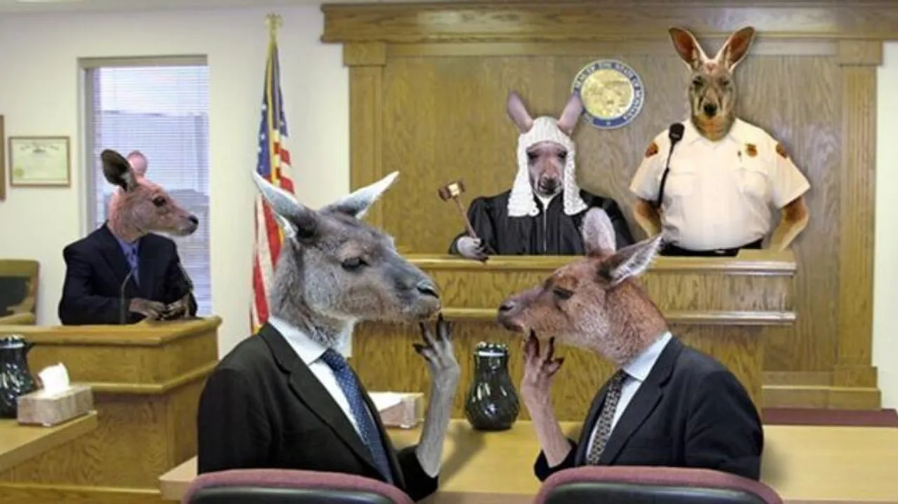 Kangaroo Court