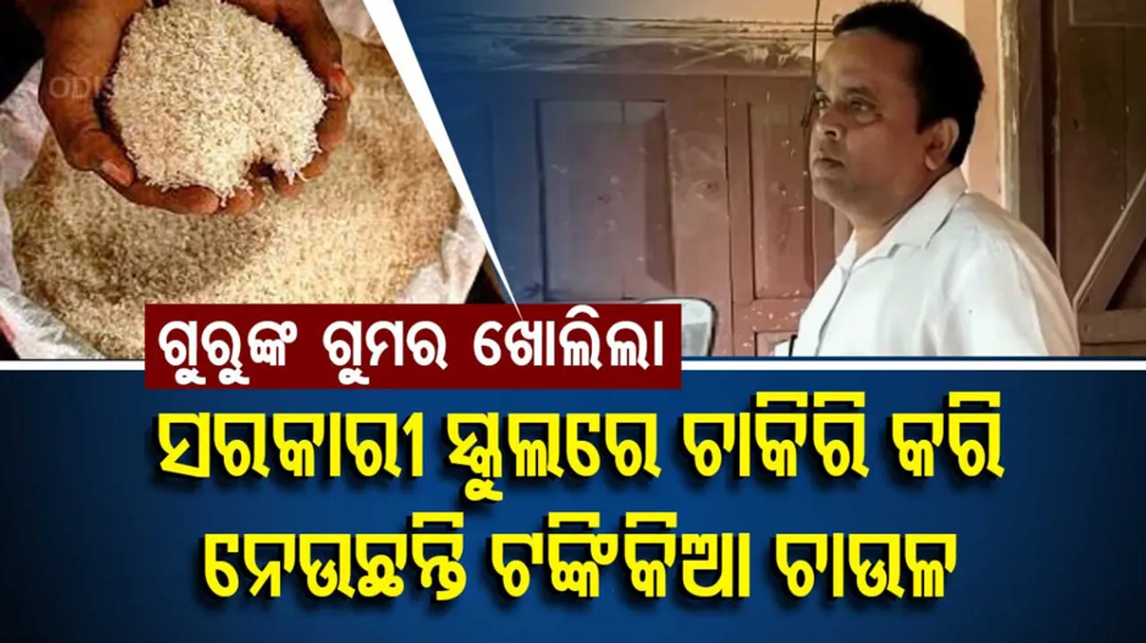 Government School Teacher