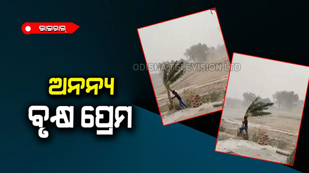 Young man standing to save the tree