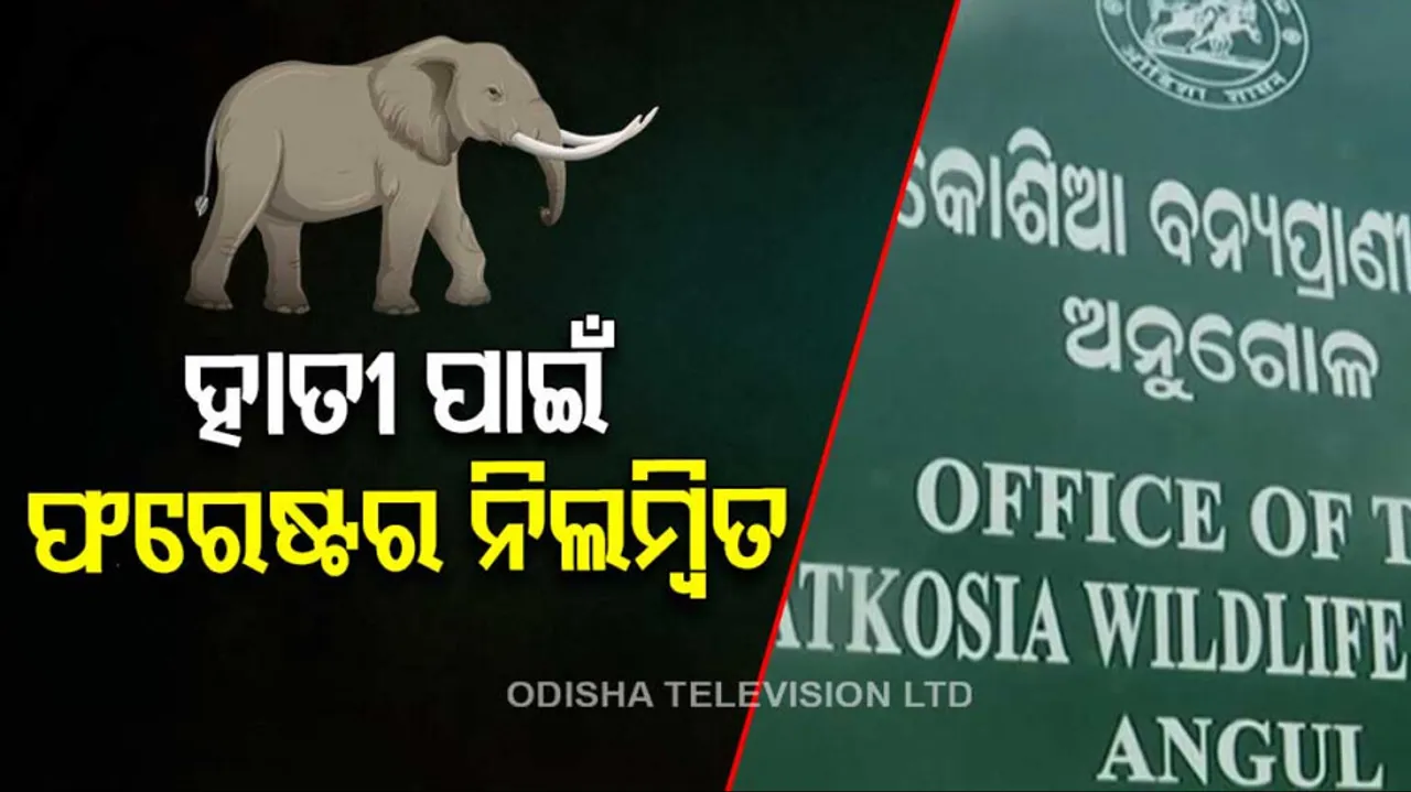 Recovery of elephant carcass in Satkosia, 3 arrested