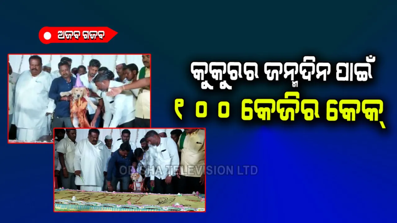 Man celebrates pet dog birthday with 100kg cake