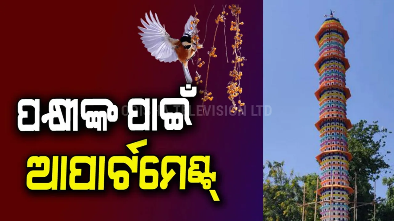 ‘bird apartment’ 