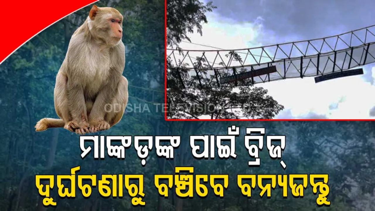 Animal Bridges In Odisha