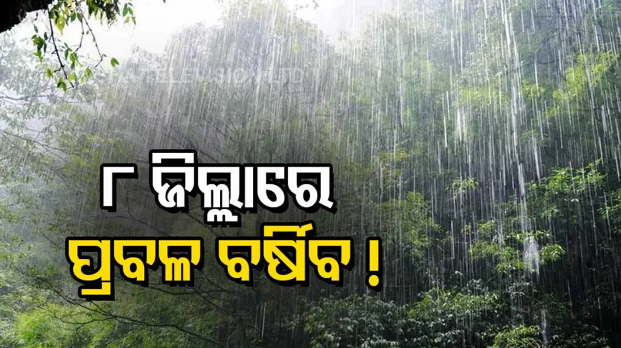 Odisha SRC issues alert for thunderstorms, rainfall in these districts