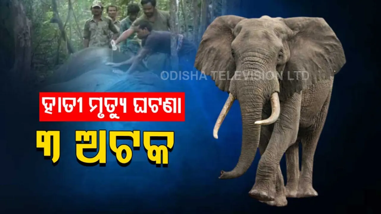 Tusker death in Narasinghapur forest । Some suspects detained; Investigation underway
