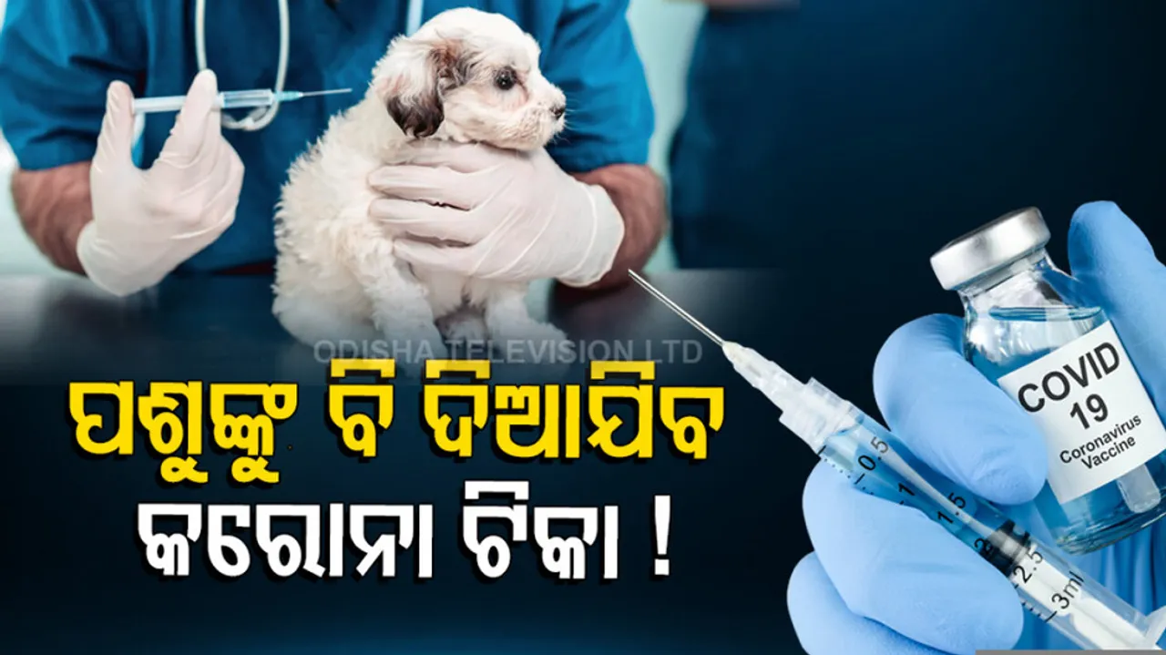 Faridabad janwar corona vaccine anchovax animal vaccine successful trial on zoo animals