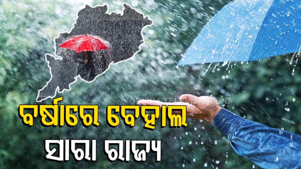 Heavy Rain In Odisha
