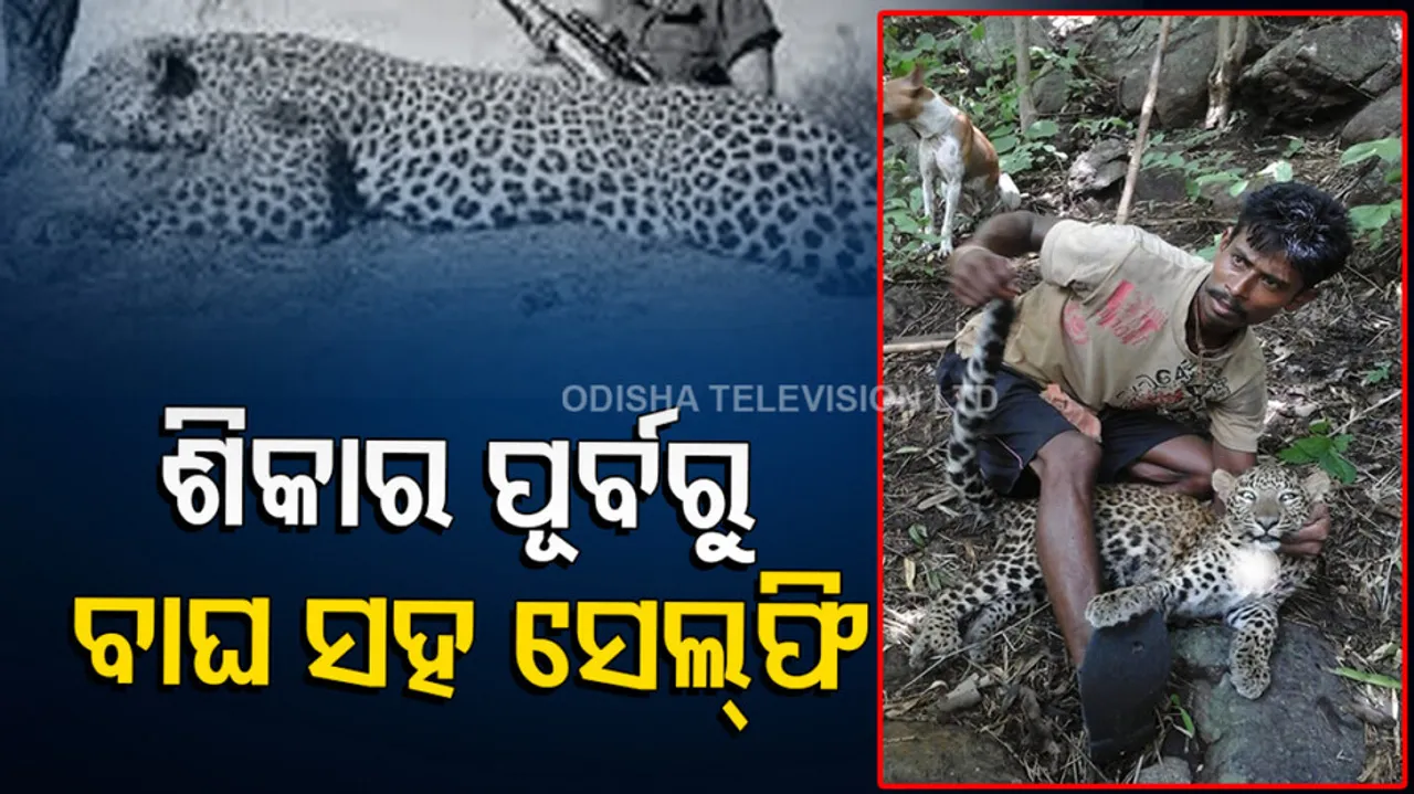 Poacher held for clicking selfie with leopard before killing it