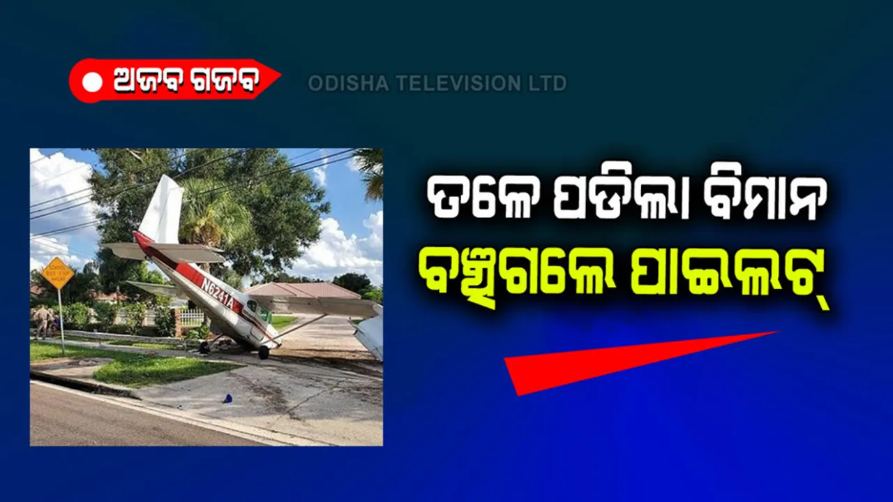 Plane crashes onto motorway and skids onto driveway pilot saved