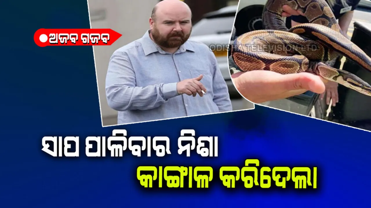 3 pet snakes make a person poor