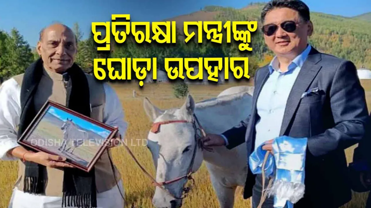 Defence Minister Rajnath Singh