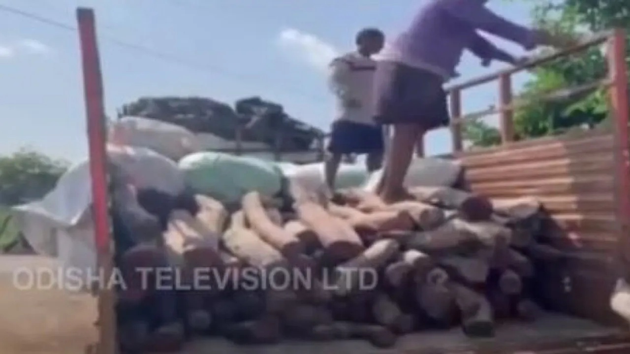 Red sandalwood smuggling