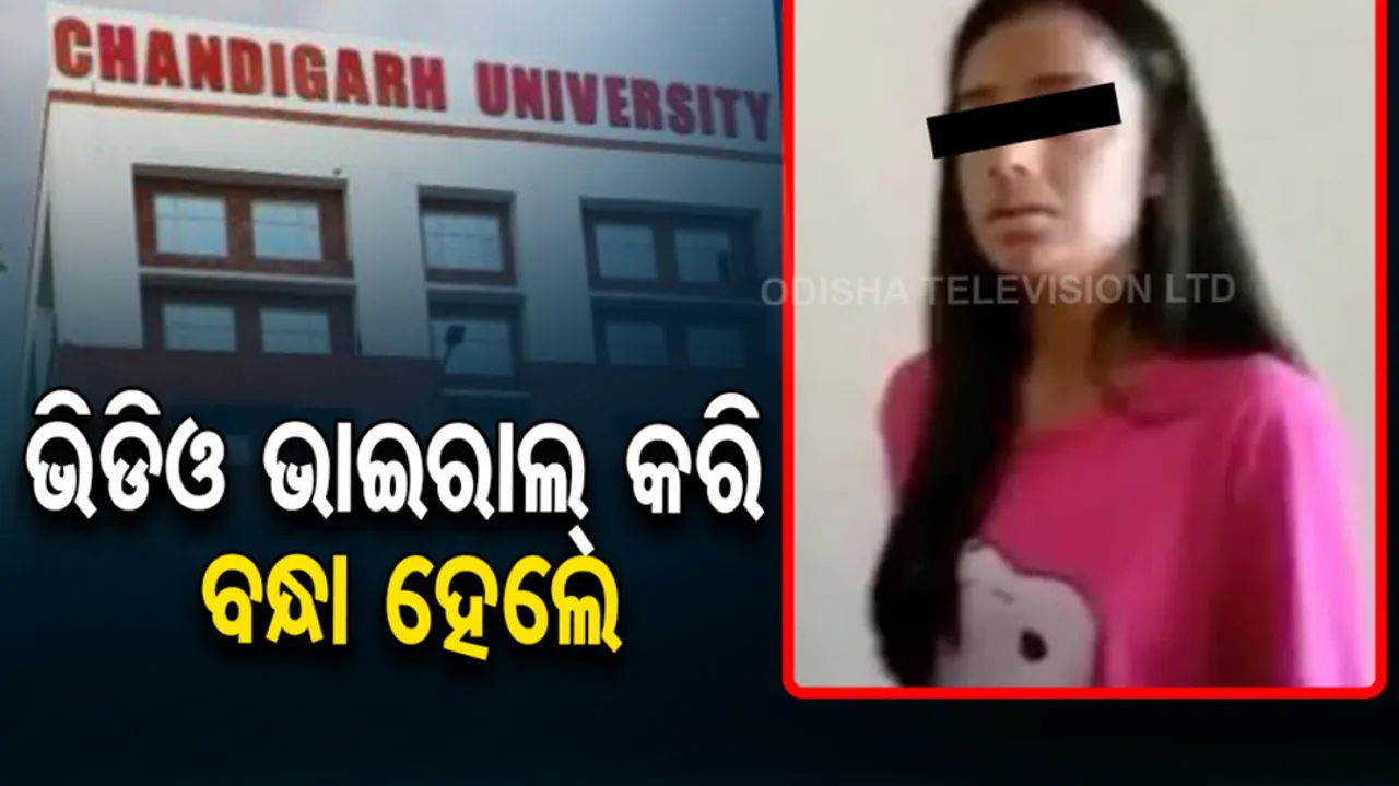 Chandigarh University Viral Video