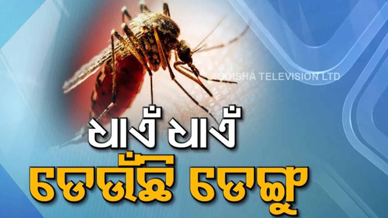 Dengue outbreak in Odisha