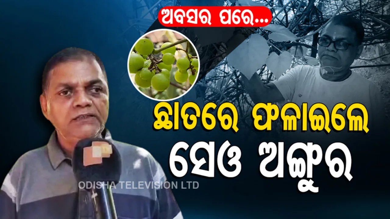 Teacher becomes farmer