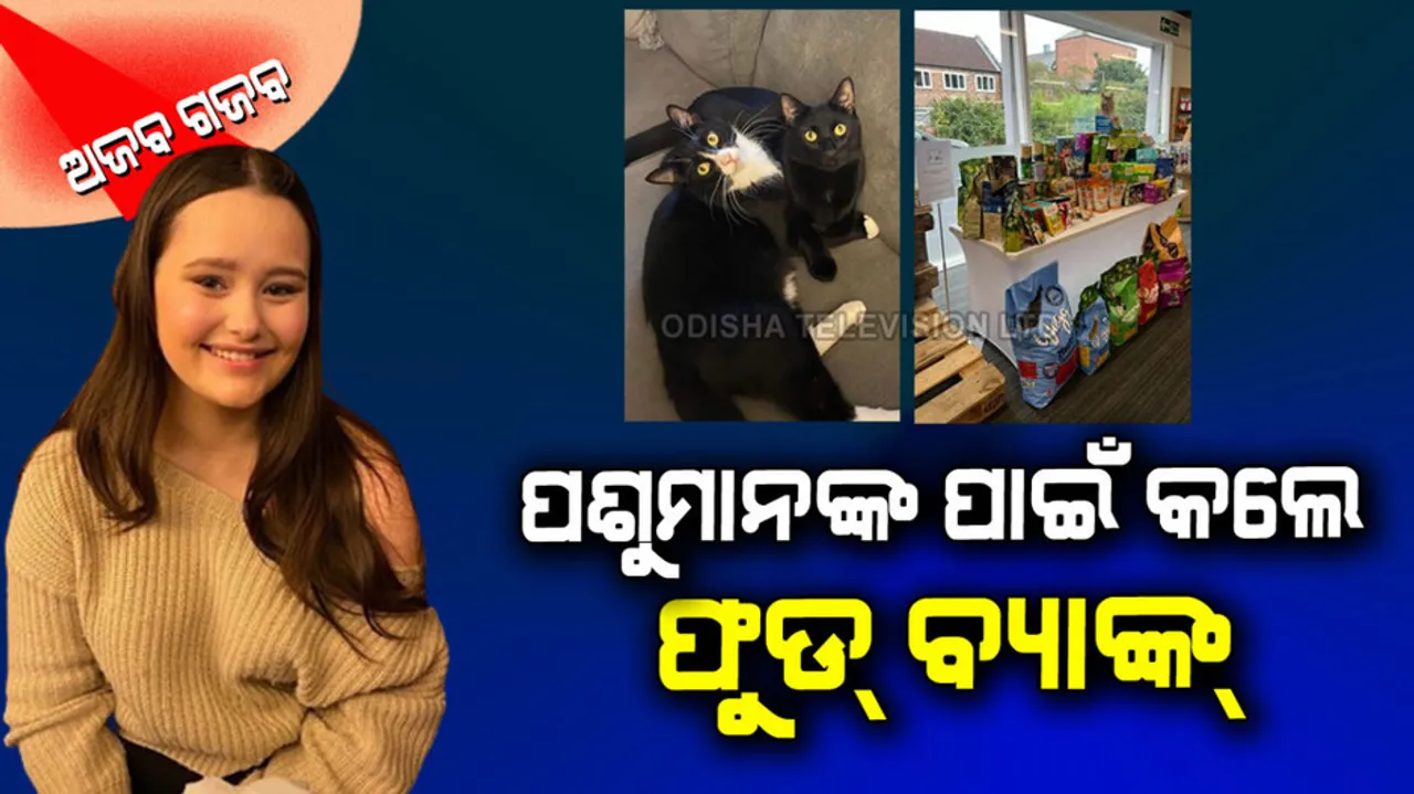 Woman started pet food bank and helps 200 owners