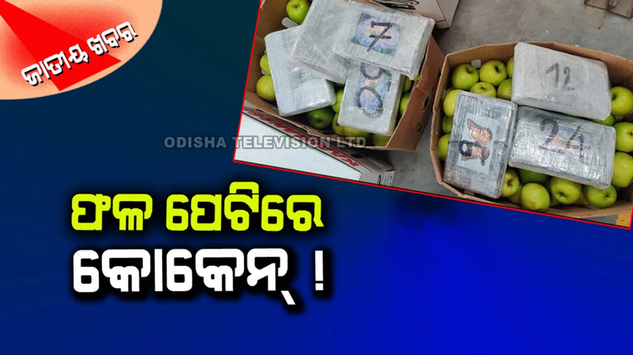 Cocaine Worth ₹ 502 Crore Seized From Fruit Container 