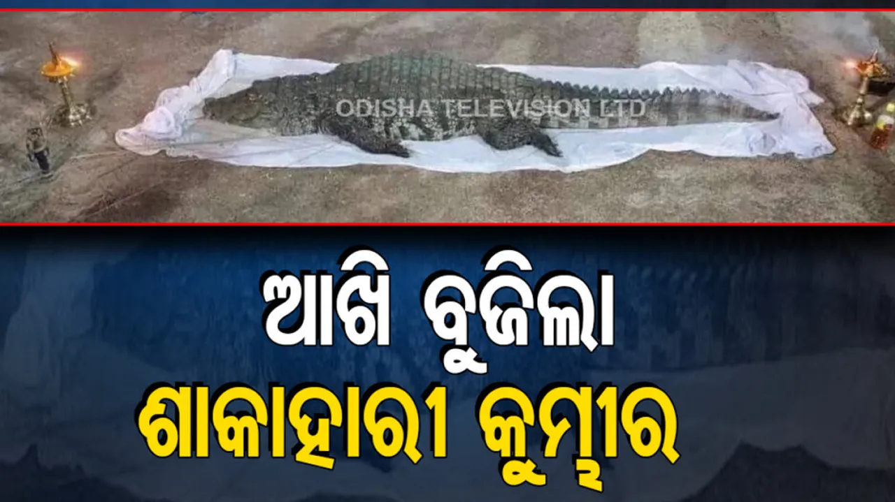 Crocodile of Sri Ananthapadmanabha swamy temple died