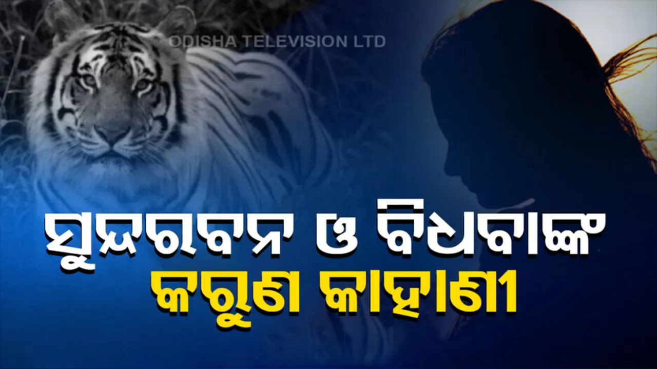 Tiger Attack In Sundarbans