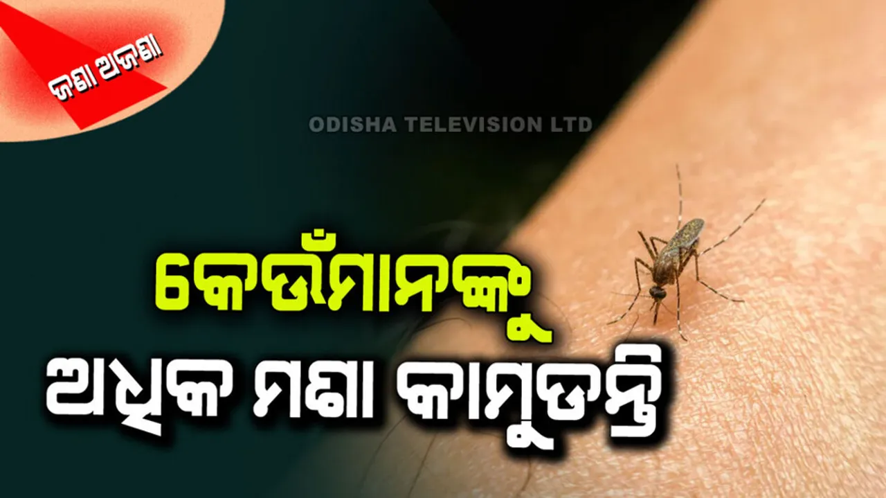 Why some people gets more mosquitoes bites