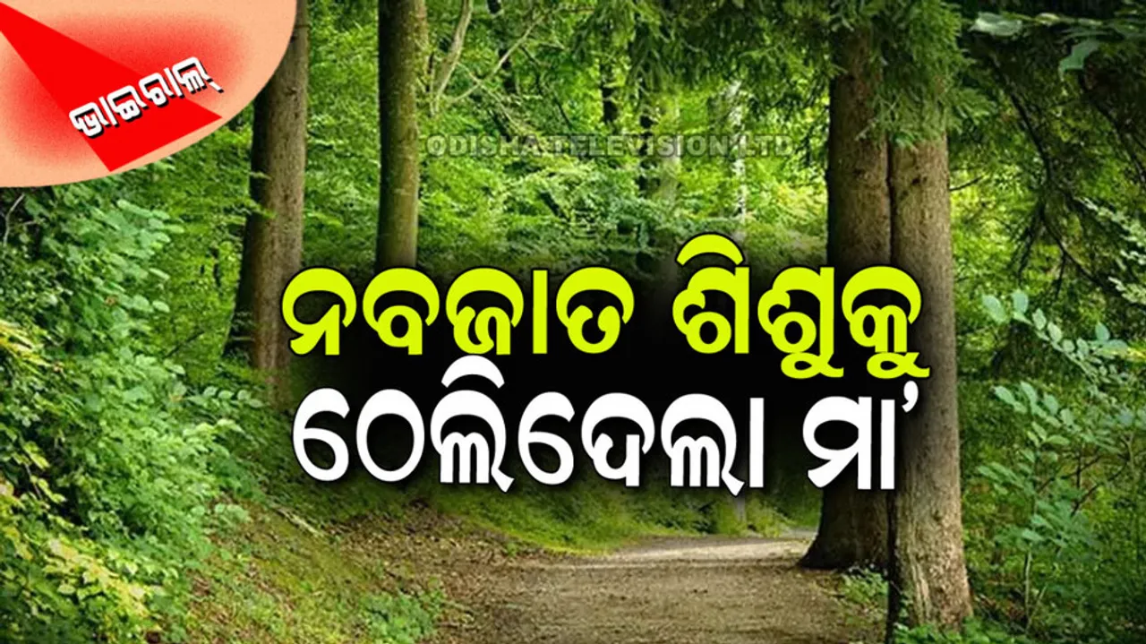 Elephant was seen pushing its own newborn child