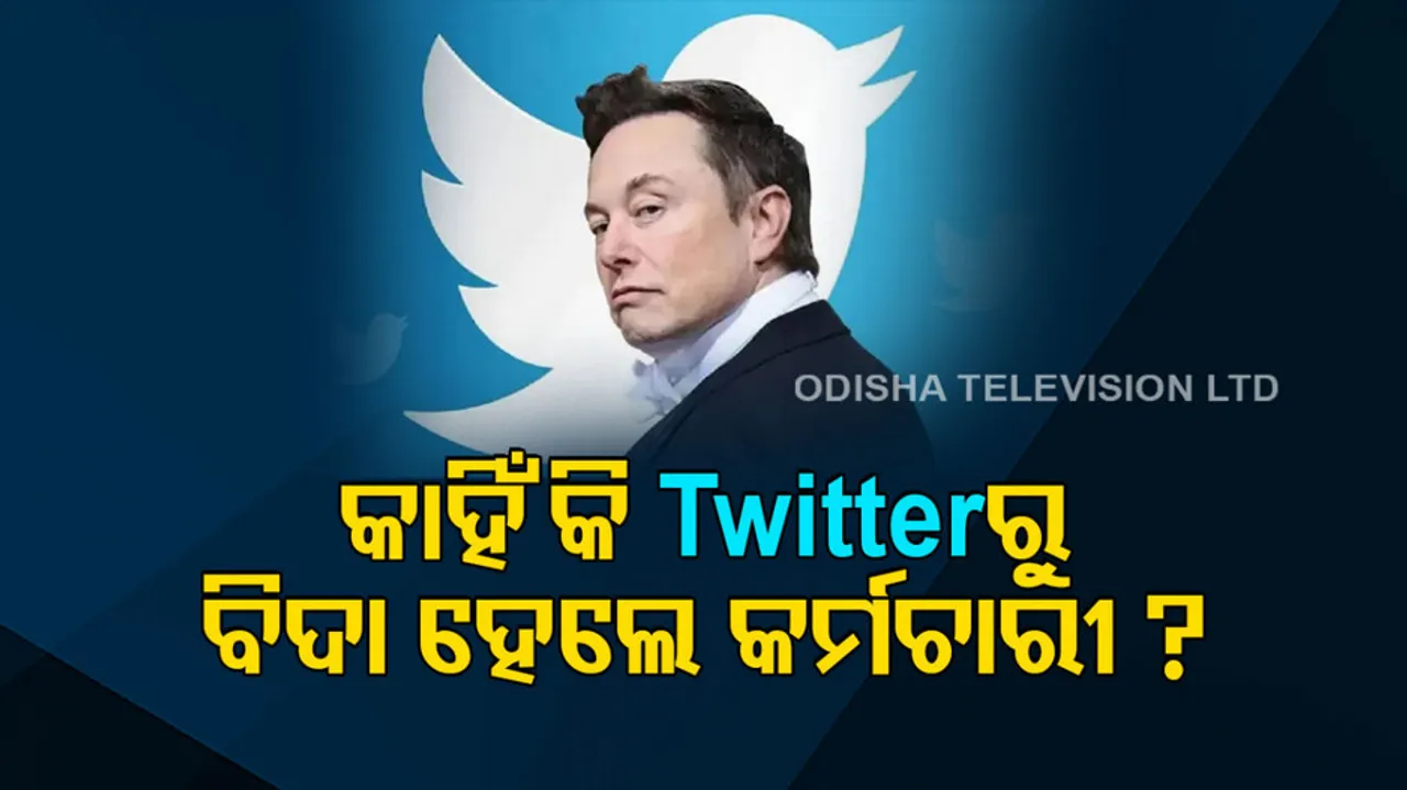 Elon Musk Over Twitter Sacks