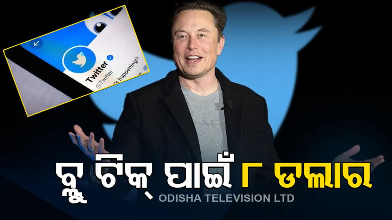 Twitter Rolls Out Blue Tick Verification Service