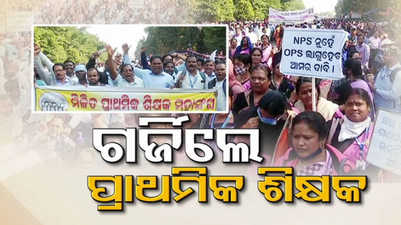 Primary Teacher association