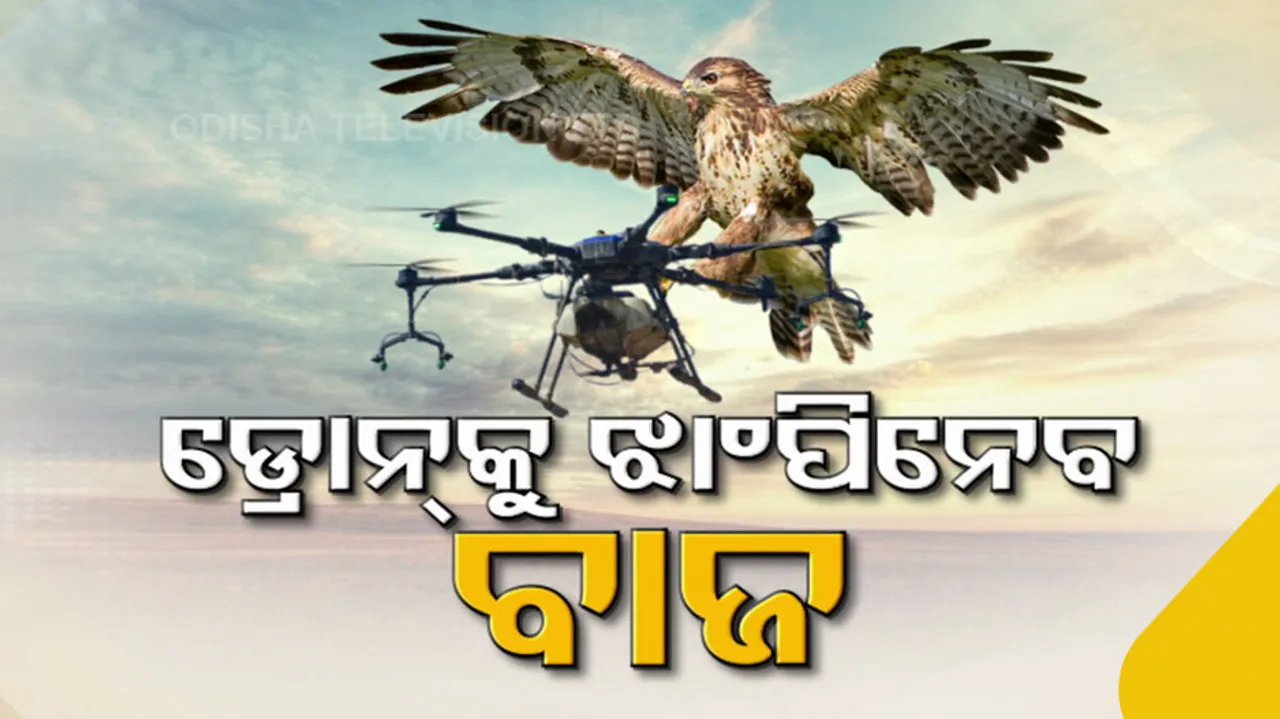 Indian Army kite Arjun