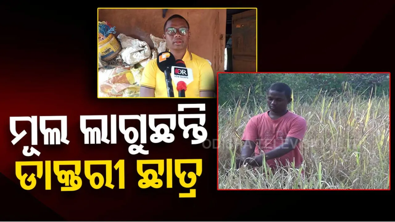 MBBS student works as laborer to arrange funds for studies