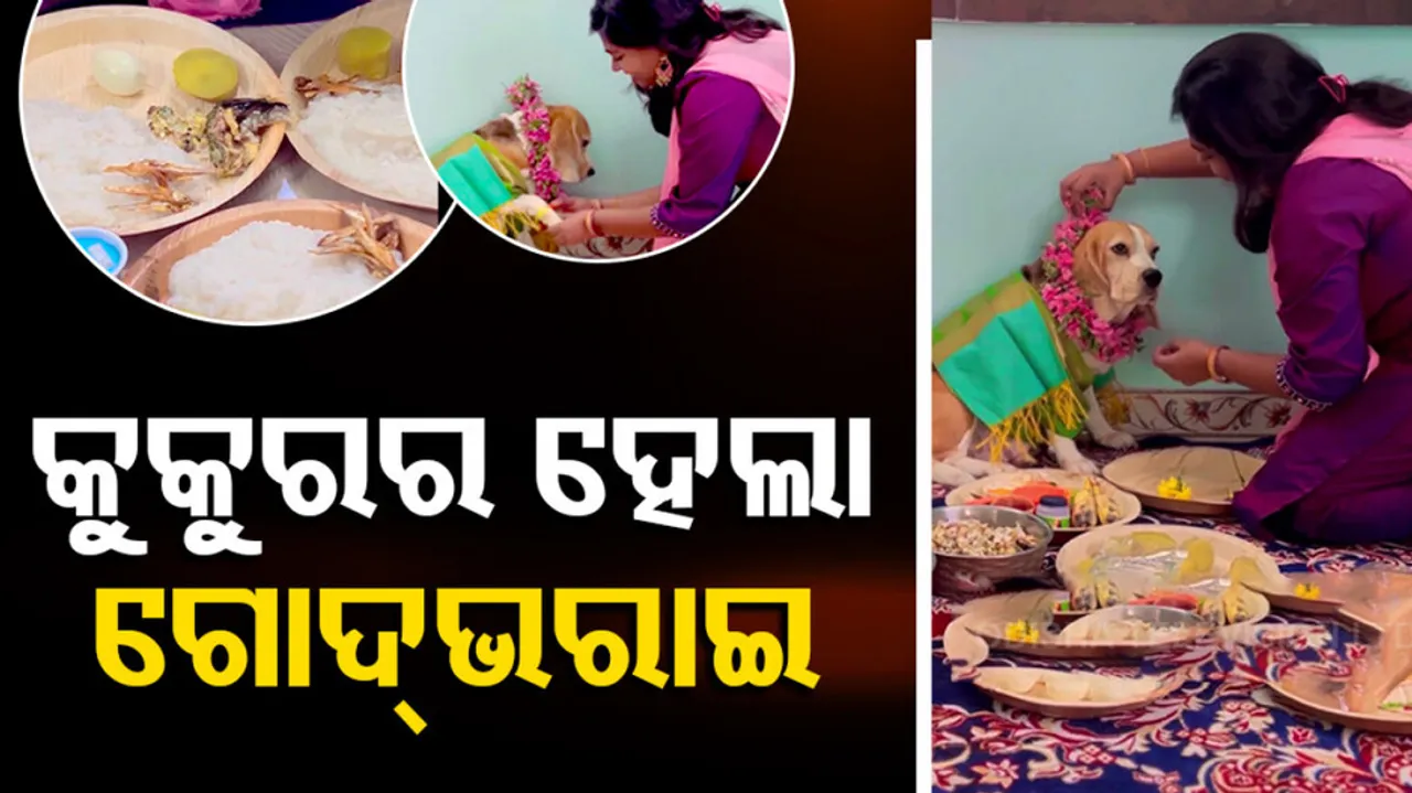 Pet Dog Godh Bharai Rasam