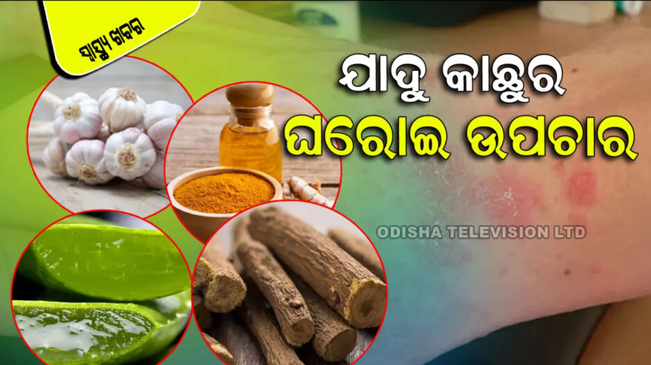 Get rid of itching ringworm and scabies problems make cream in home