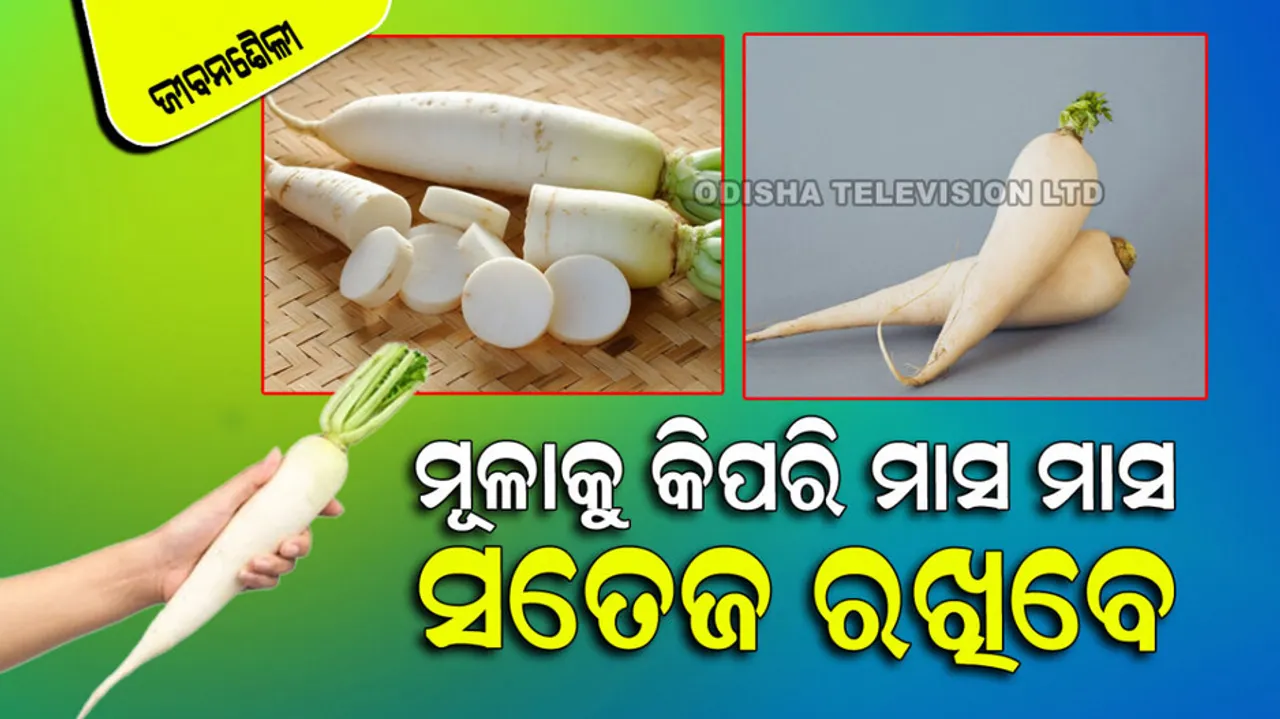 How To Store Radishes