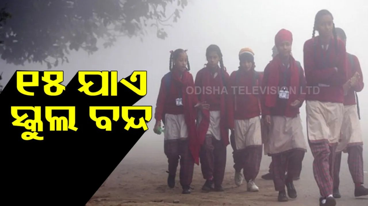 Delhi private schools asked to remain closed till Jan 15 over cold wave