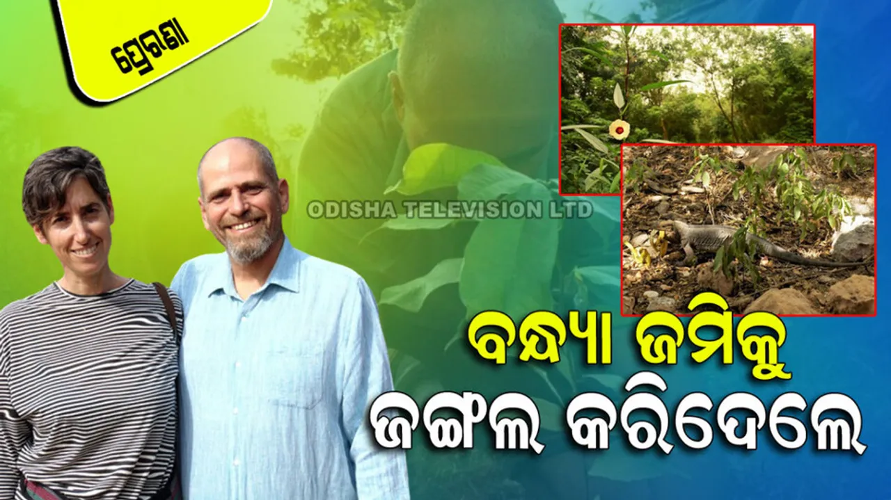 Israeli Man Transformed 70 acres barren land into forest