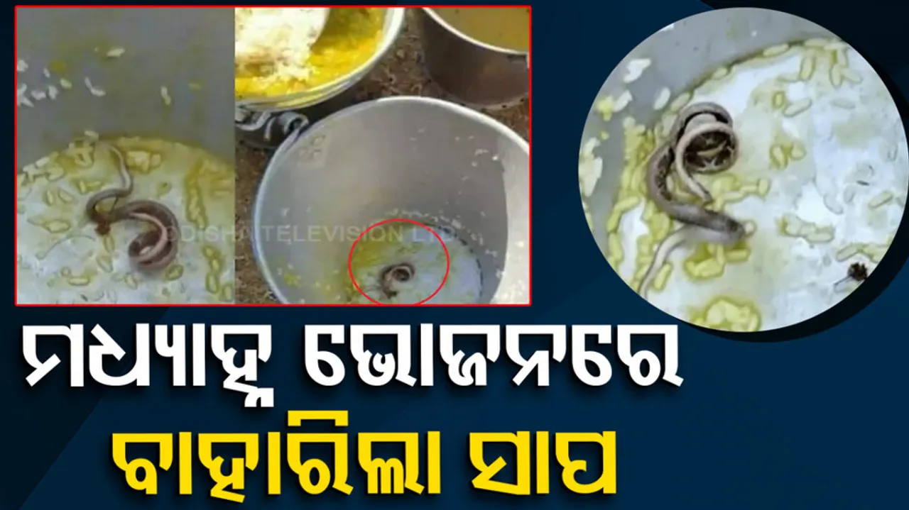 Snake Found In Mid-Day Meal In West Bengal